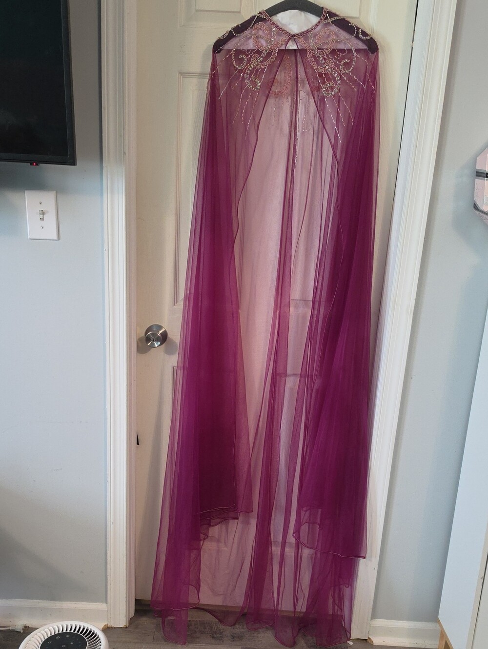 Sheer Plum Embellished Cape with Beaded Collar